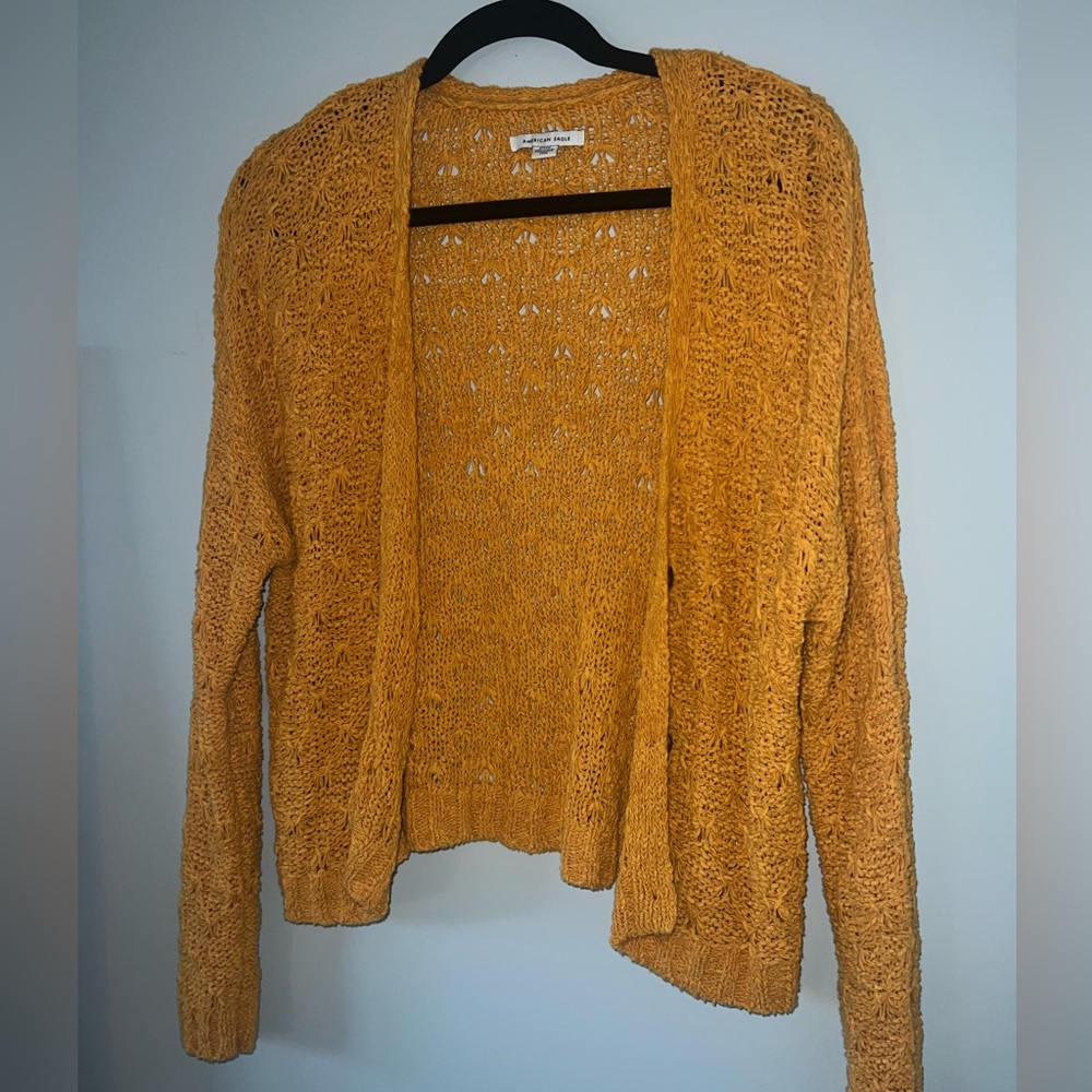 An American Eagle fall themed sweater.